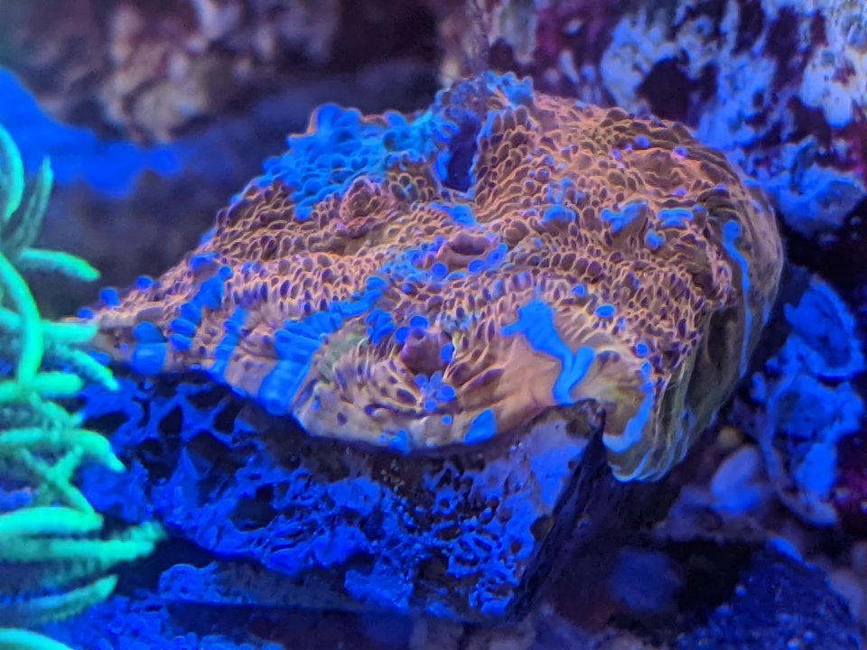 PXL_20220808_011814733.jpg