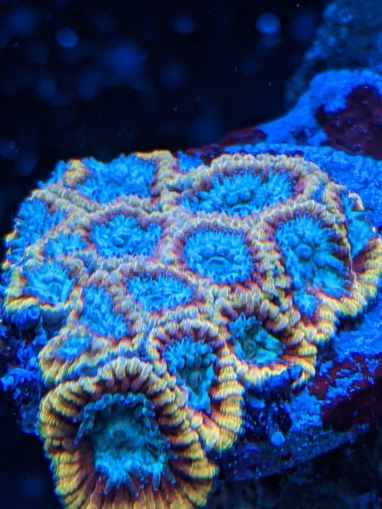 PXL_20220826_001117767.jpg