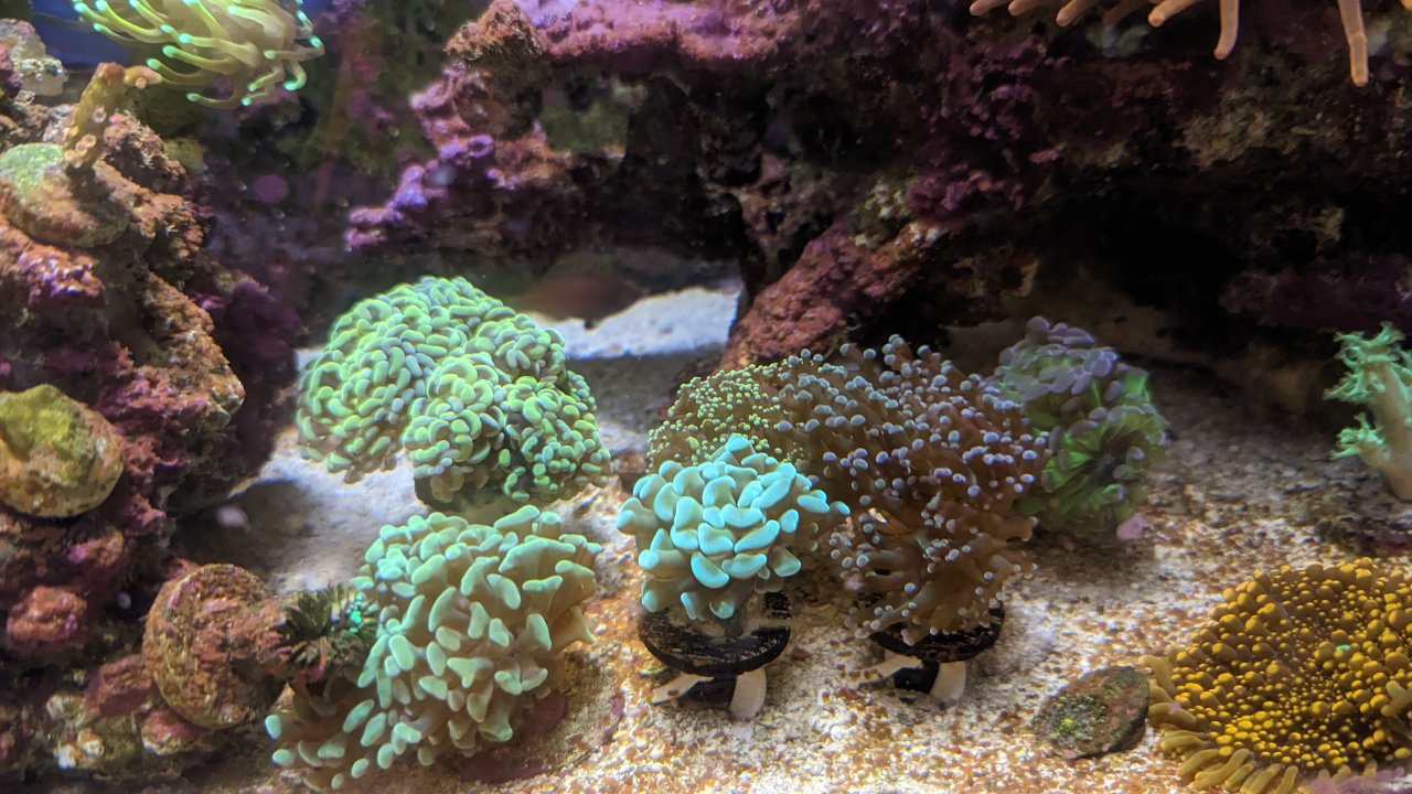PXL_20221104_201244879.jpg