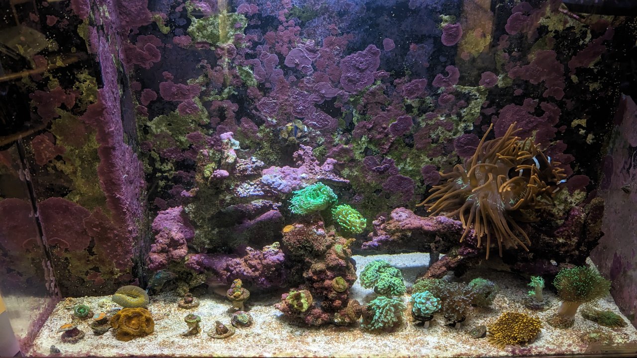 PXL_20221104_201713049.jpg