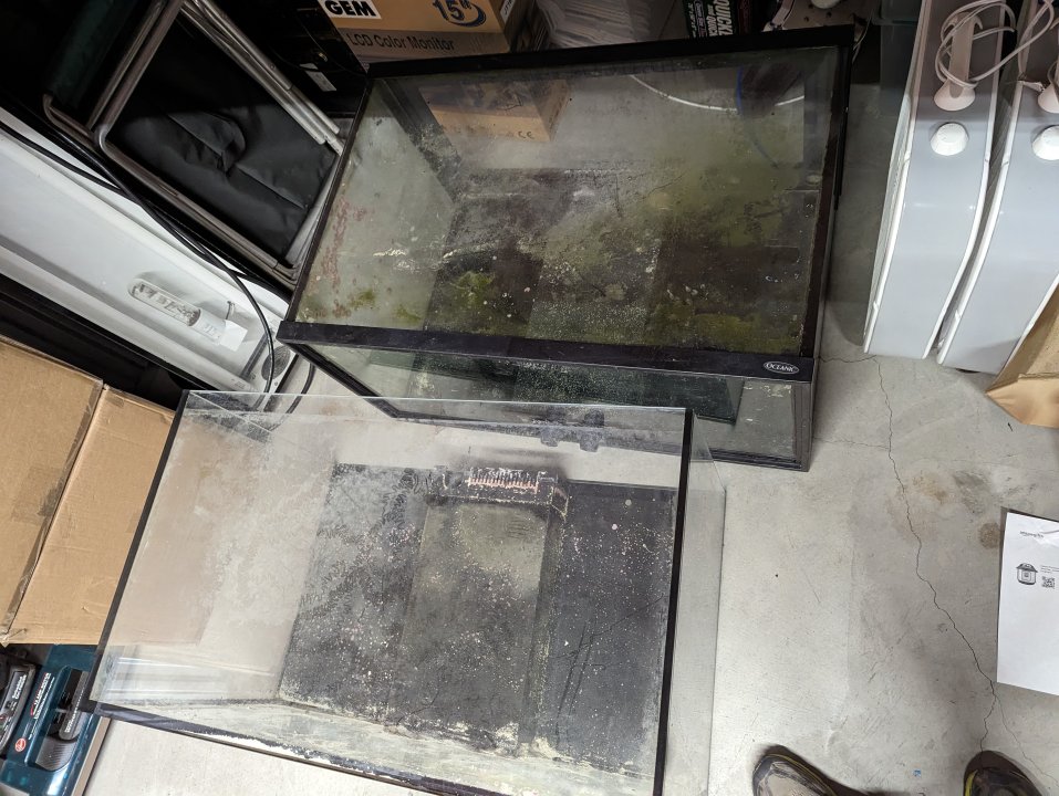 PXL_20221125_224040188.jpg