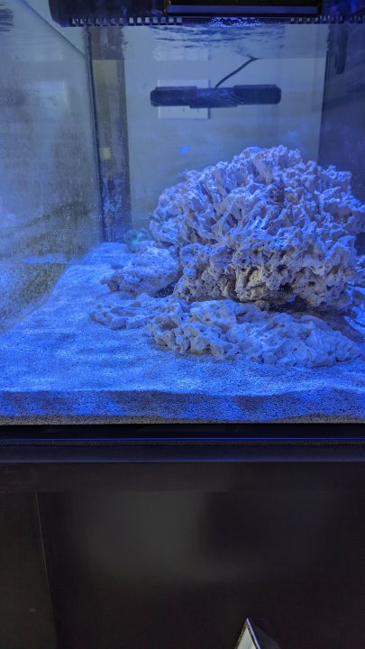 PXL_20221204_212830779.jpg