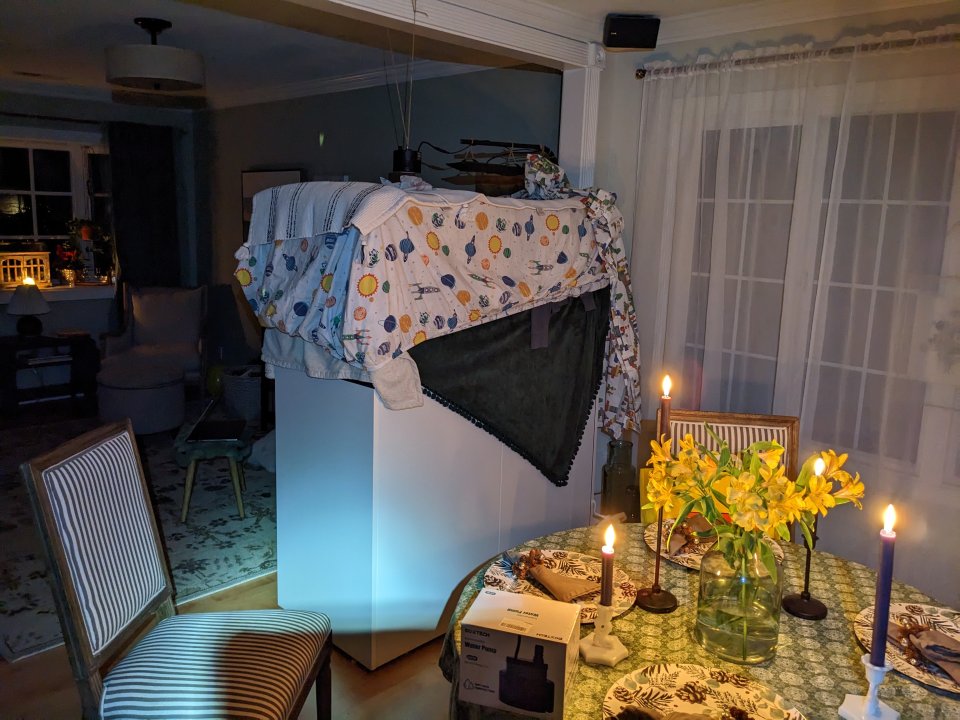 PXL_20230105_031134263.jpg