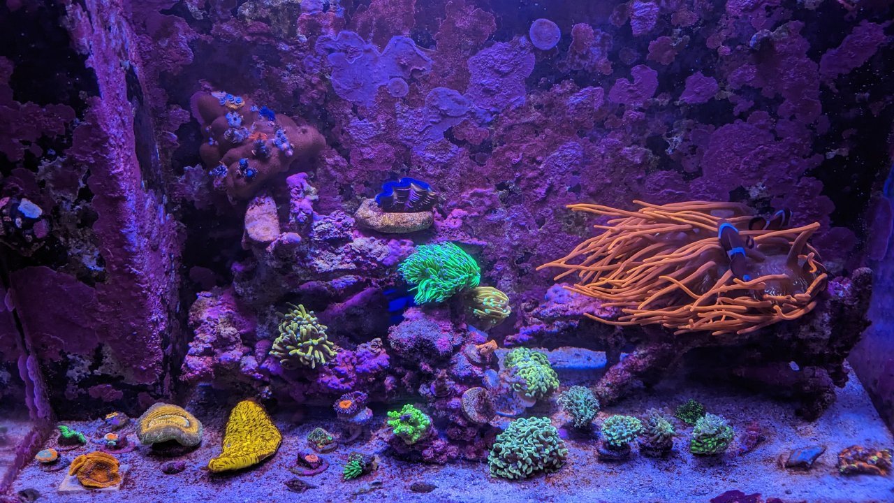 PXL_20230302_053219090.jpg