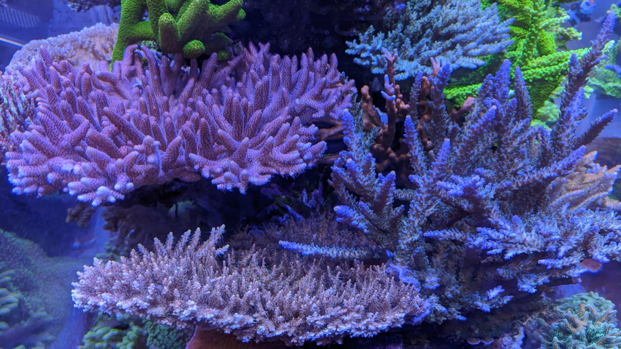 PXL_20230420_174144131.jpg