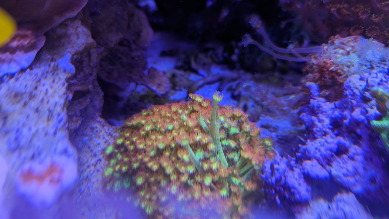 PXL_20230420_174542273.jpg