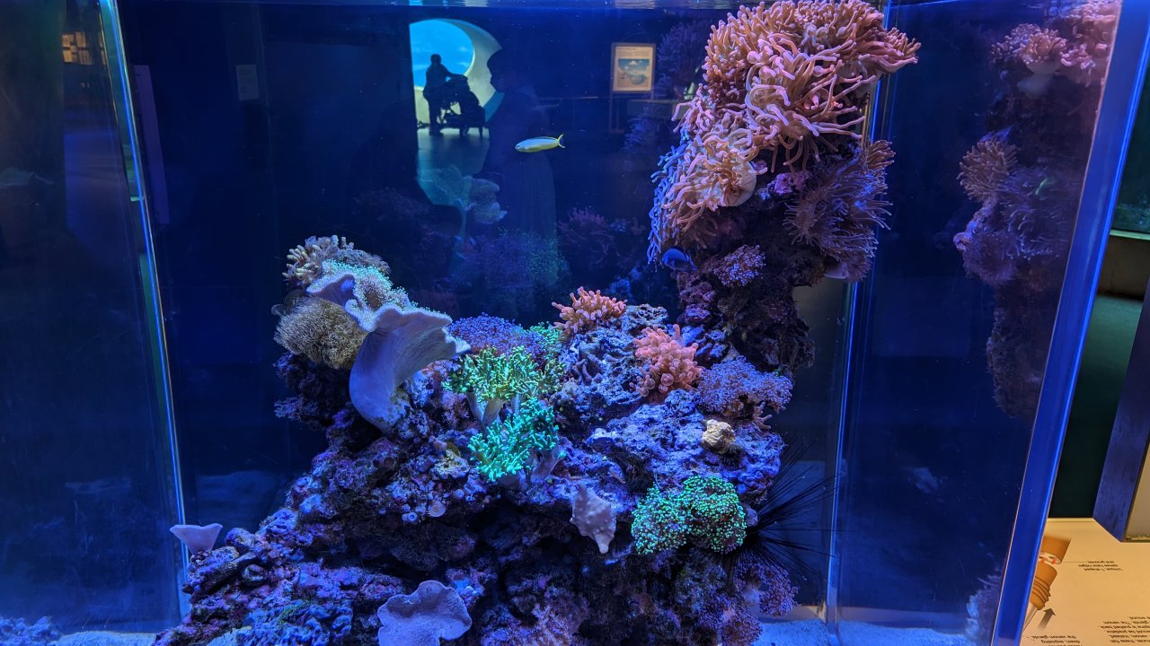 PXL_20230420_175624531.jpg