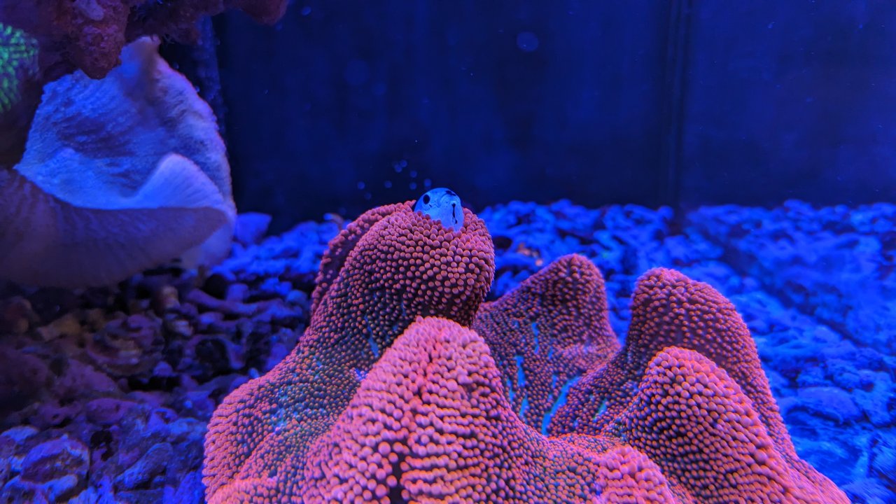 PXL_20230424_213341306.jpg