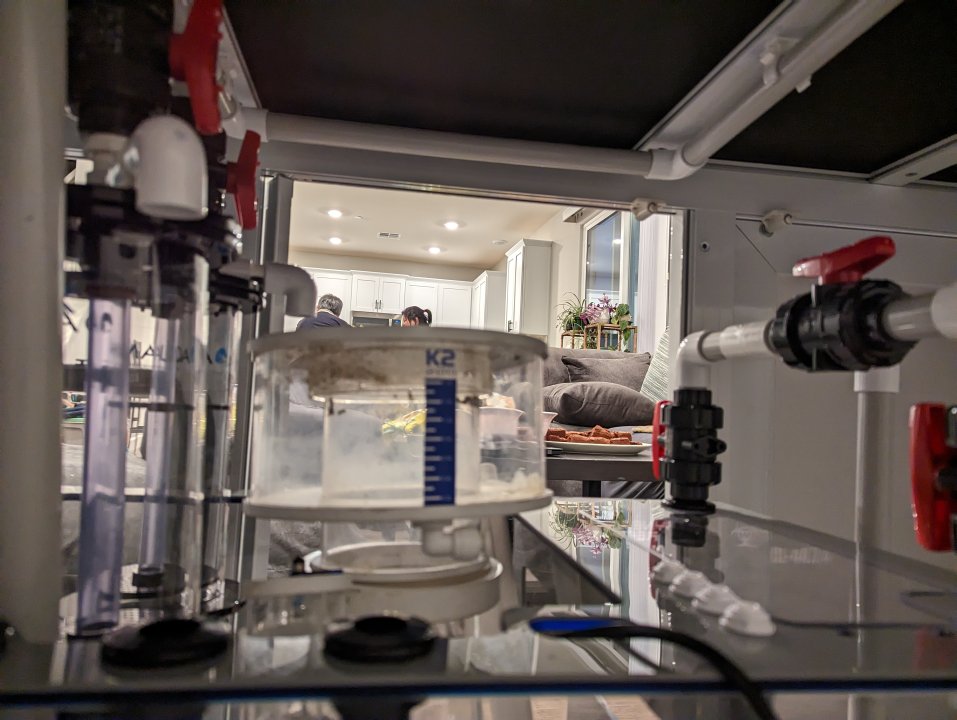 PXL_20230529_034608964.jpg