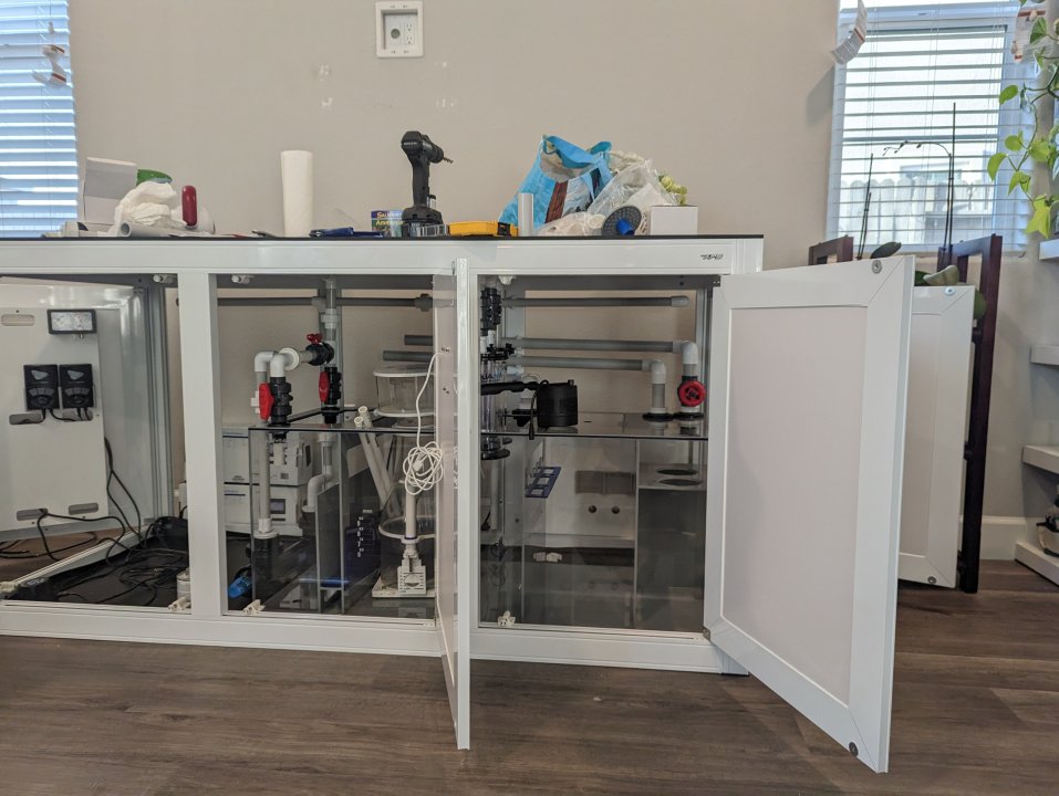 PXL_20230531_020740732.jpg