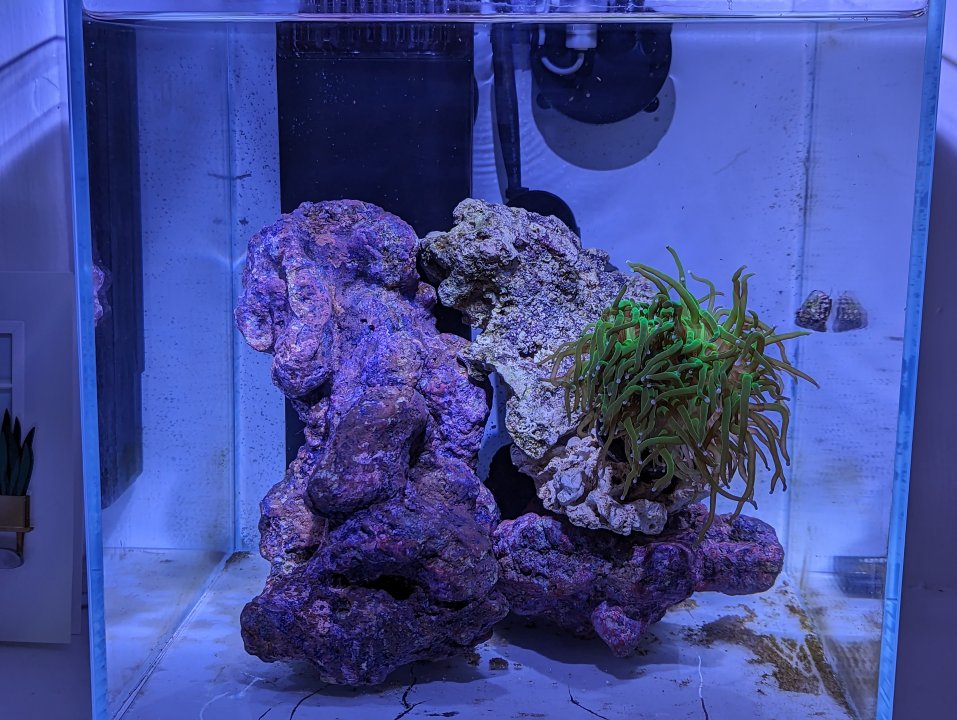 PXL_20230620_180701612.jpg