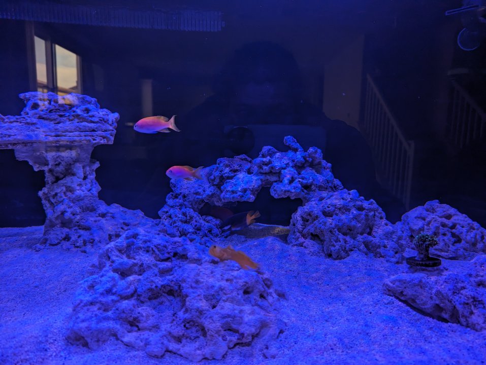 PXL_20230702_160659614.jpg