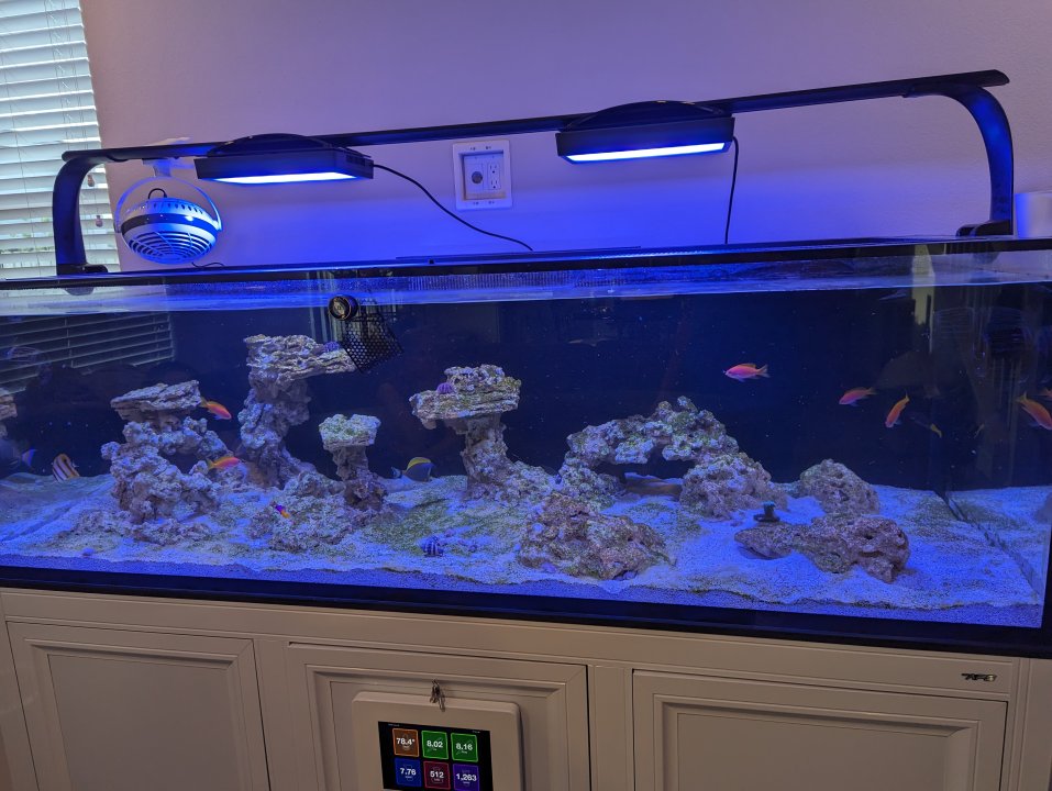 PXL_20230717_022953401.jpg