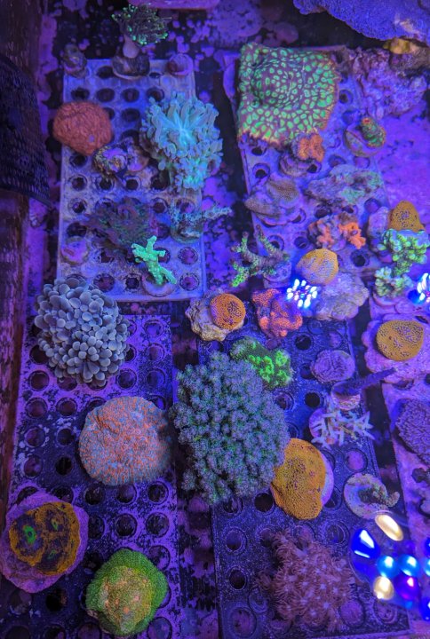 PXL_20230828_162532106.jpg