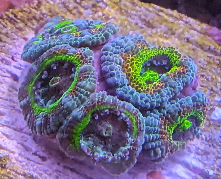 PXL_20230910_235749691~2.jpg