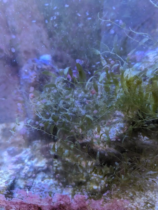 PXL_20230922_170120110.jpg