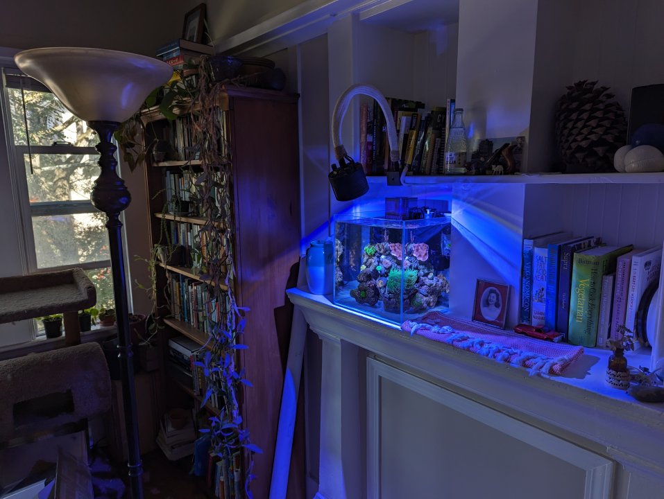 PXL_20231001_201723661.jpg