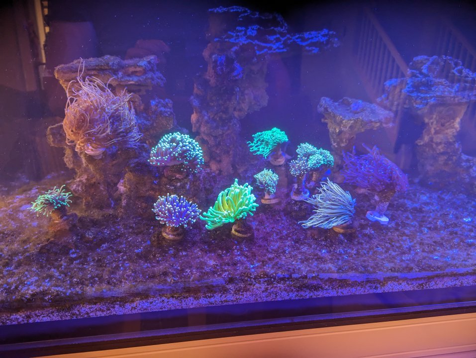 PXL_20231029_204228445.jpg