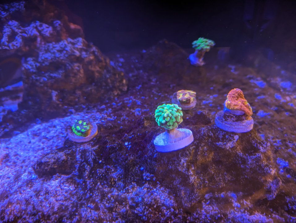 PXL_20231029_204242847.jpg