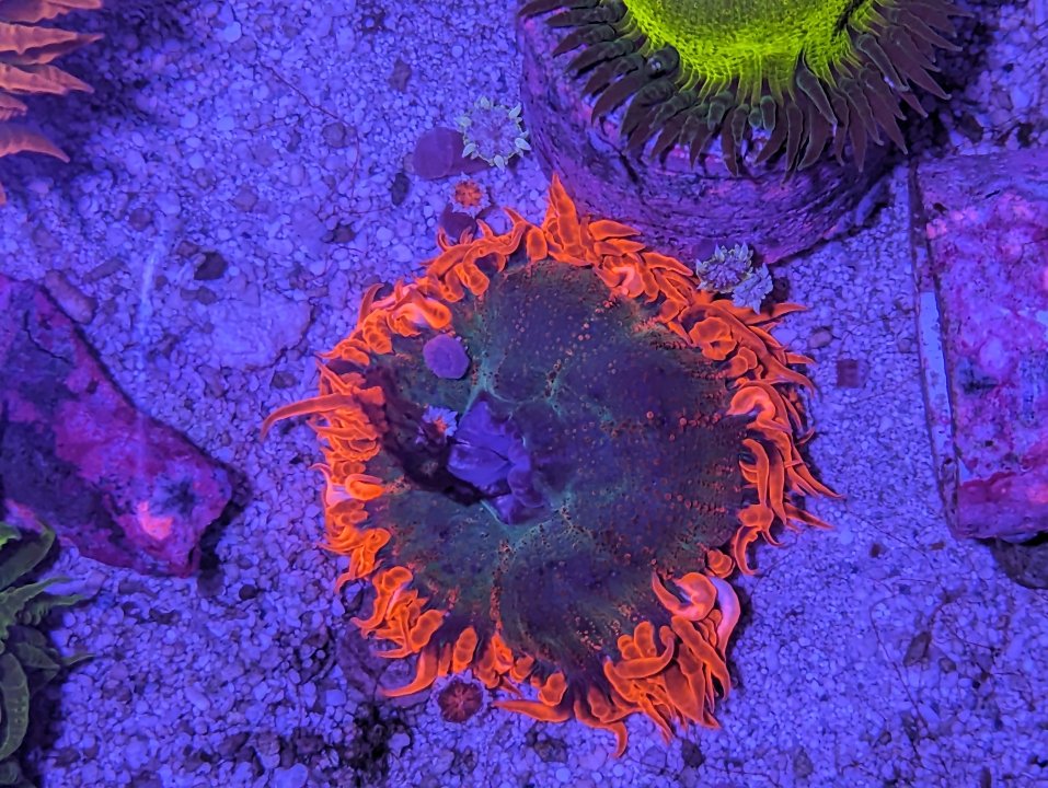 PXL_20231117_021223566.jpg