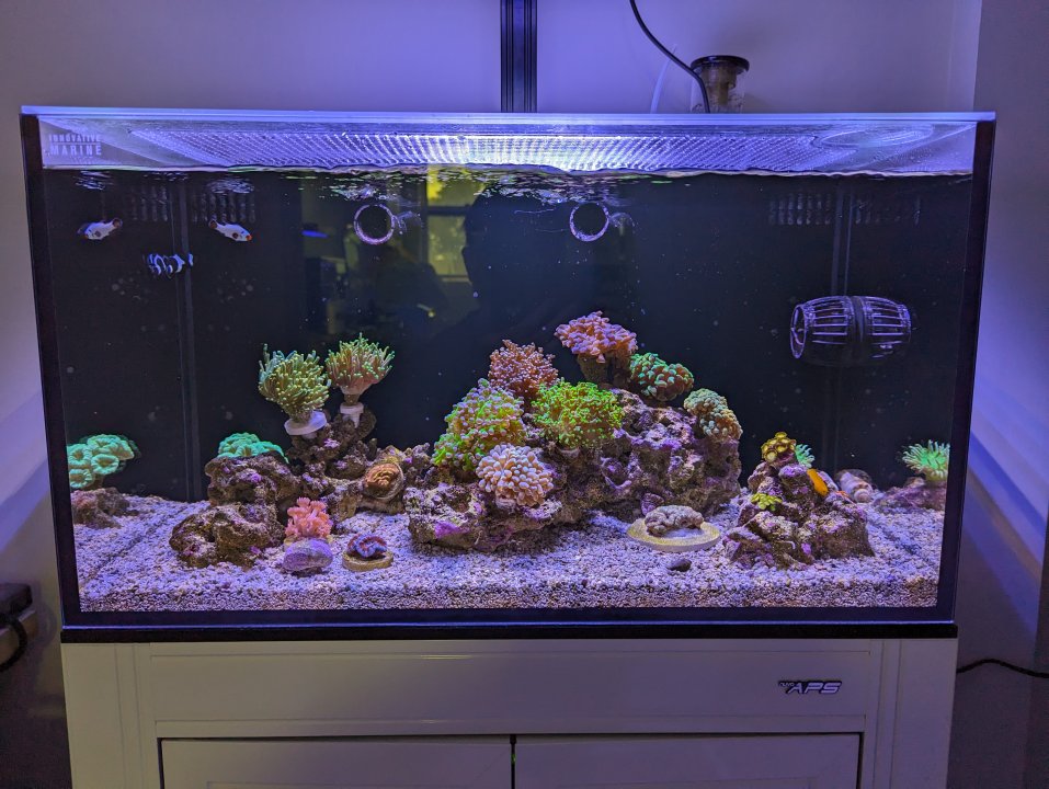 PXL_20240221_204106303.jpg