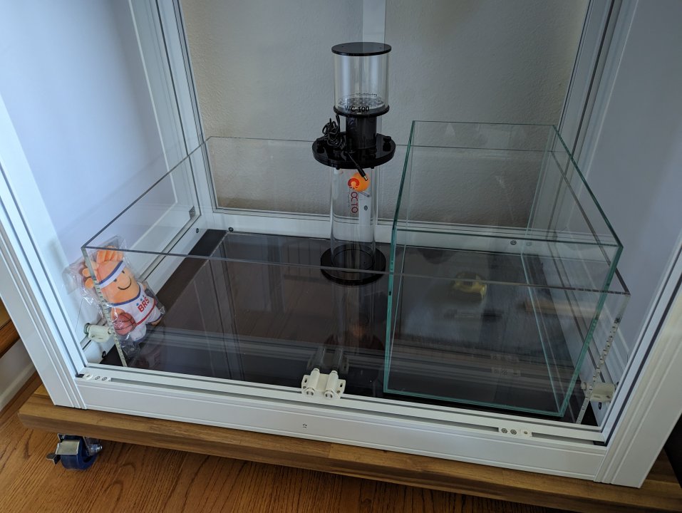 PXL_20240408_225146084.jpg