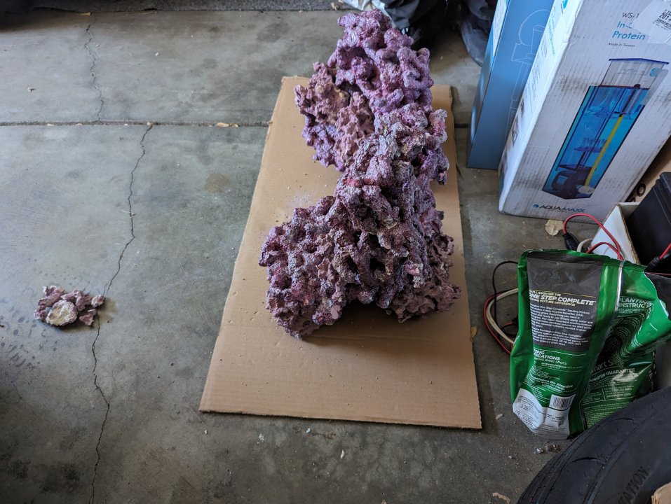 PXL_20240414_202424853.jpg