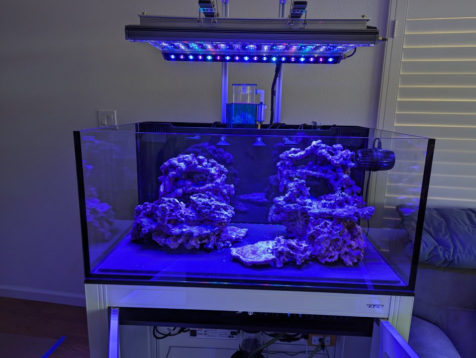 PXL_20240502_204549290.jpg