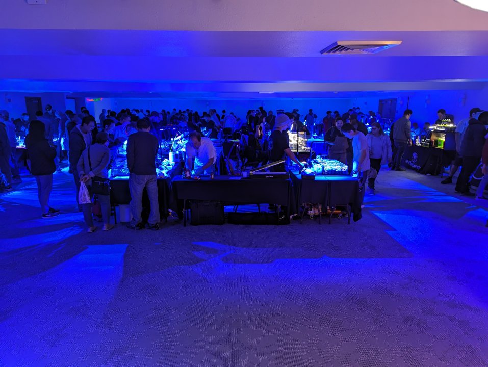 PXL_20240504_185700476.jpg