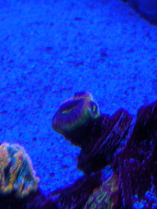 PXL_20240601_062454316.jpg