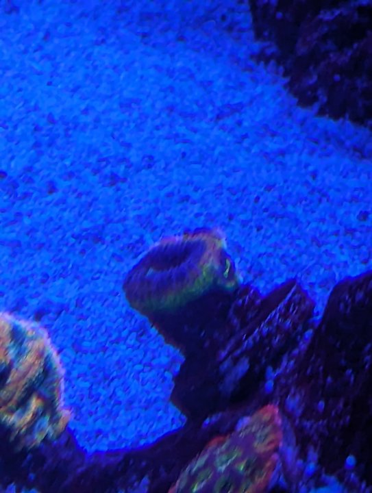 PXL_20240701_062402537.jpg