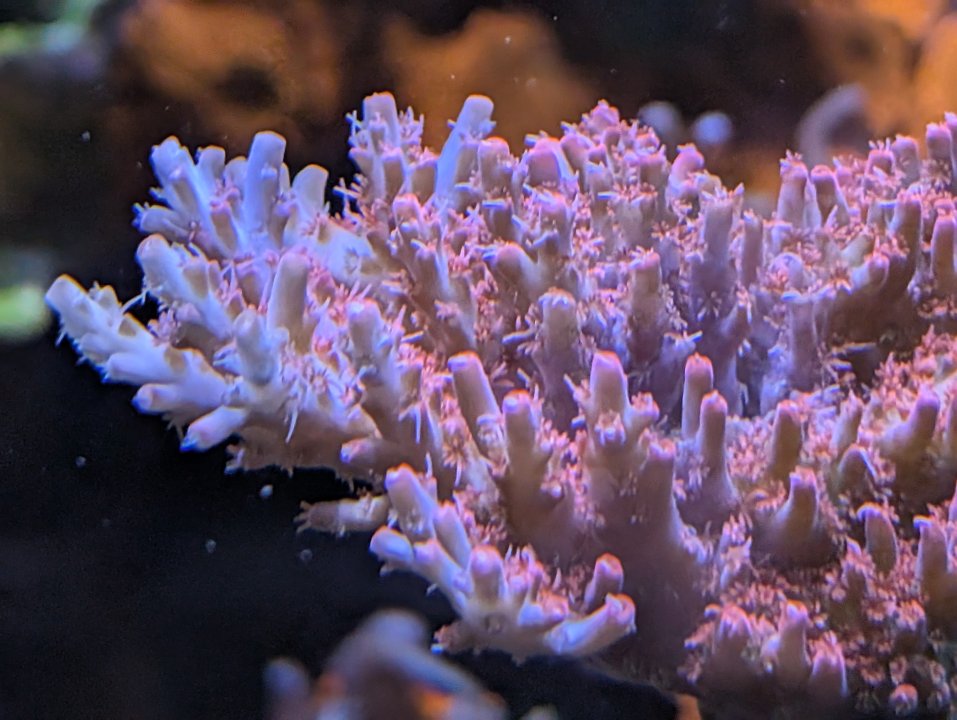 PXL_20250610_050047127.jpg