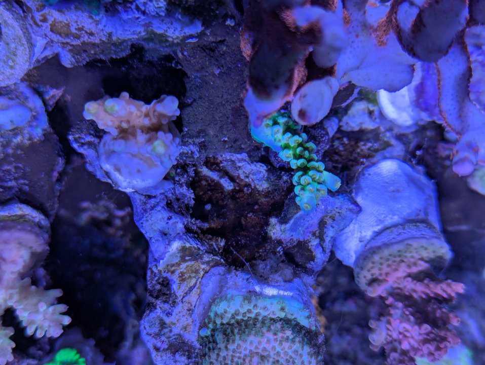 PXL_20250630_193243821.jpg