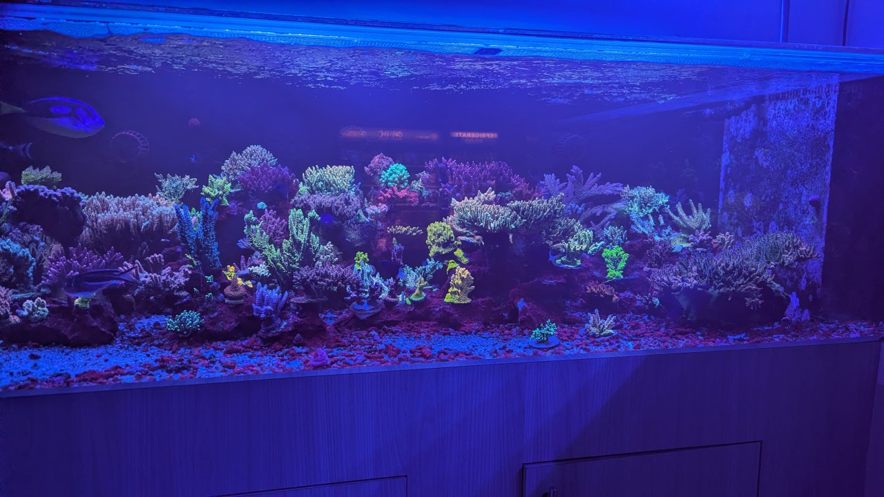 PXL_20251027_201453057.jpg PXL_20251027_201453057.jpg