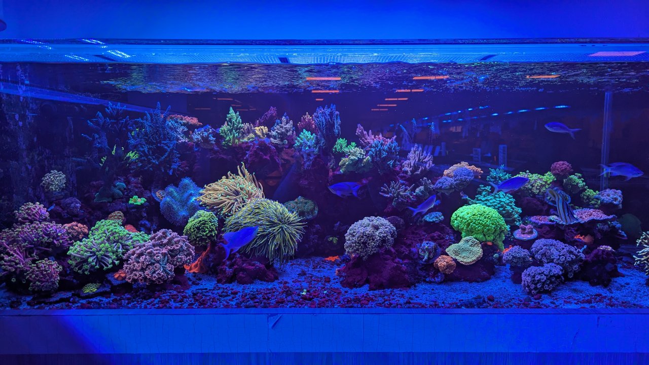 PXL_20251027_201458964.MP.jpg PXL_20251027_201458964.MP.jpg