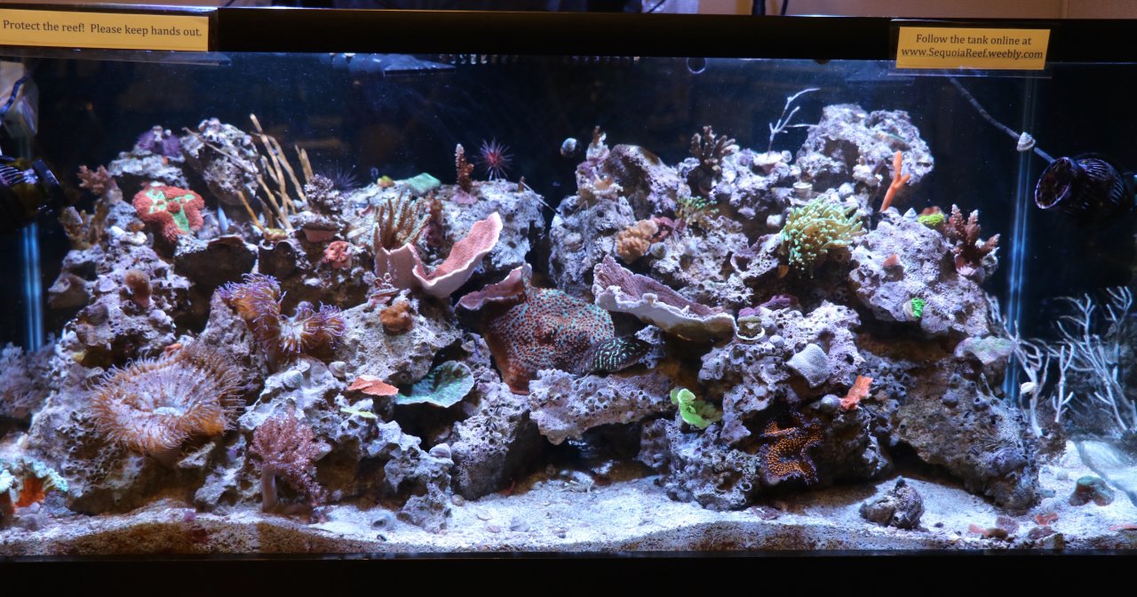 Reduce-FTS-4-4-16.jpg