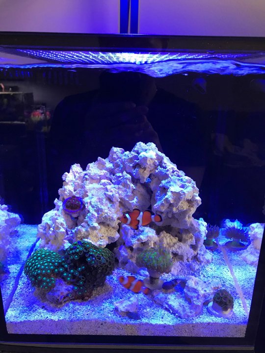 reef1.jpg