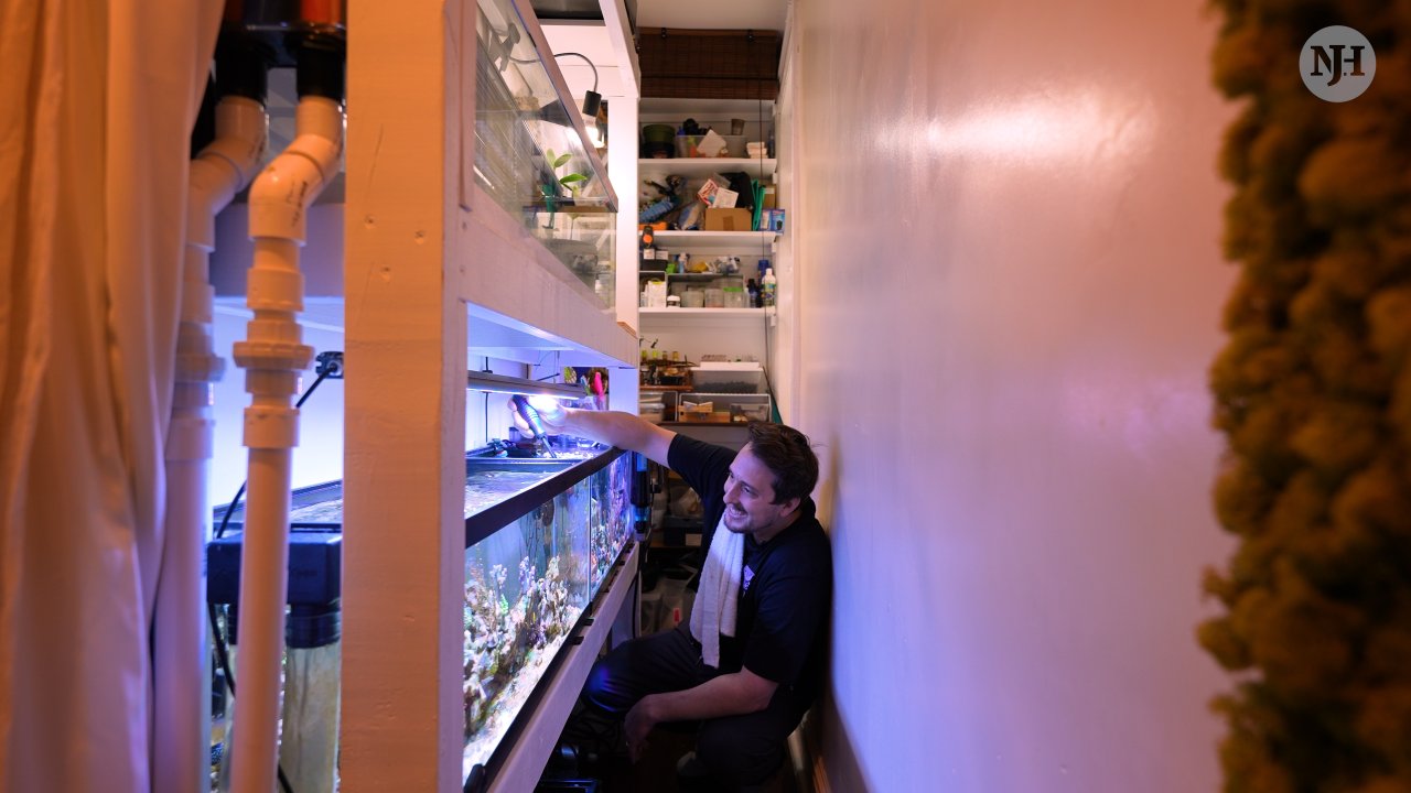 robert4.jpeg robert4.jpeg