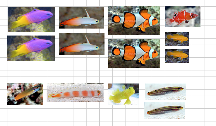 Screen Shot 2015-02-15 at 4.18.08 PM.png