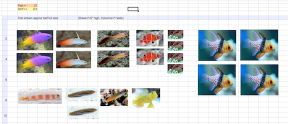 Screen Shot 2015-03-03 at 1.51.22 AM.png