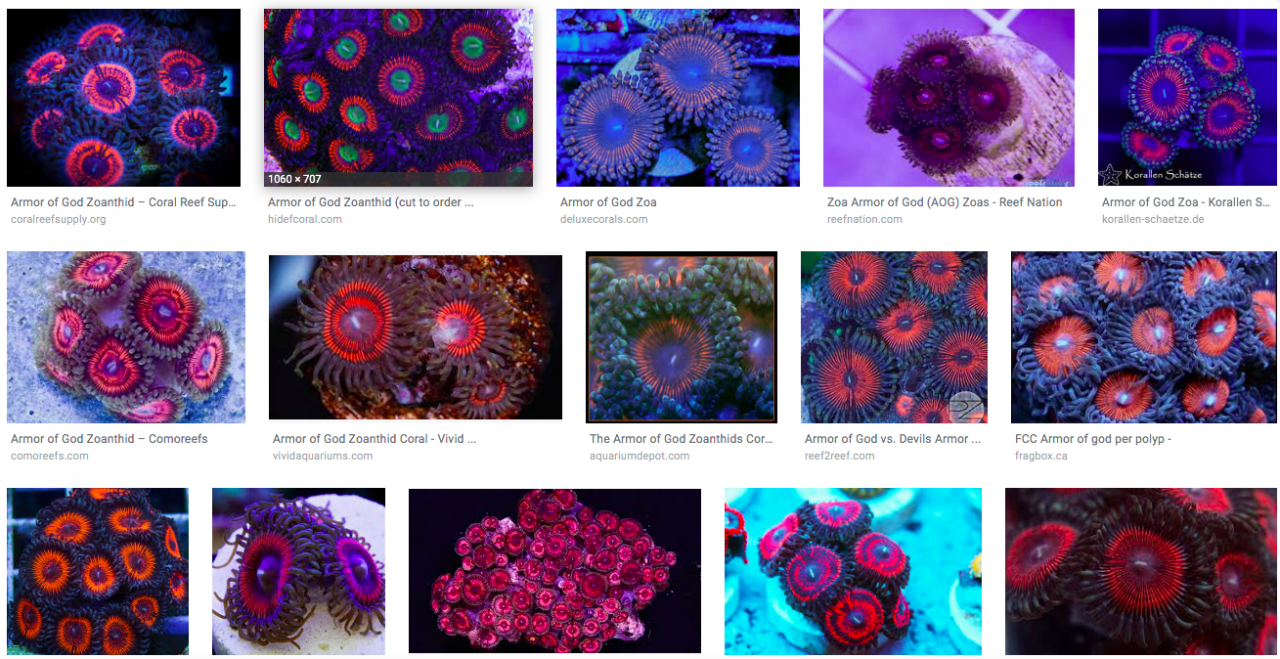 Screen Shot 2019-06-12 at 10.37.41 AM.png