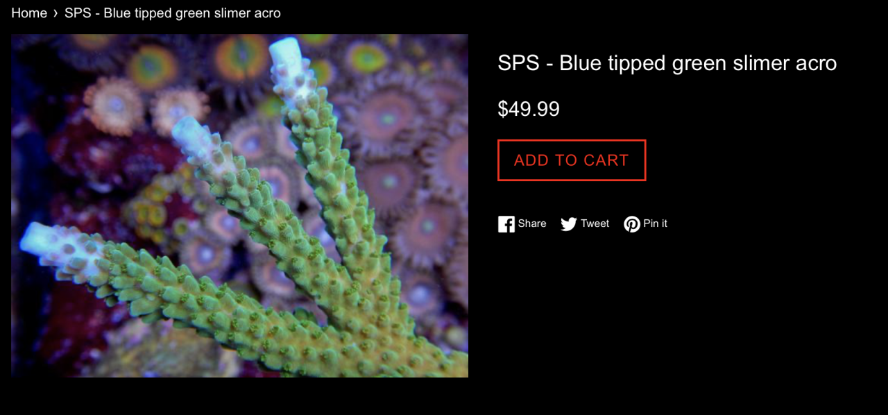 Screen Shot 2020-10-10 at 6.55.41 PM.png