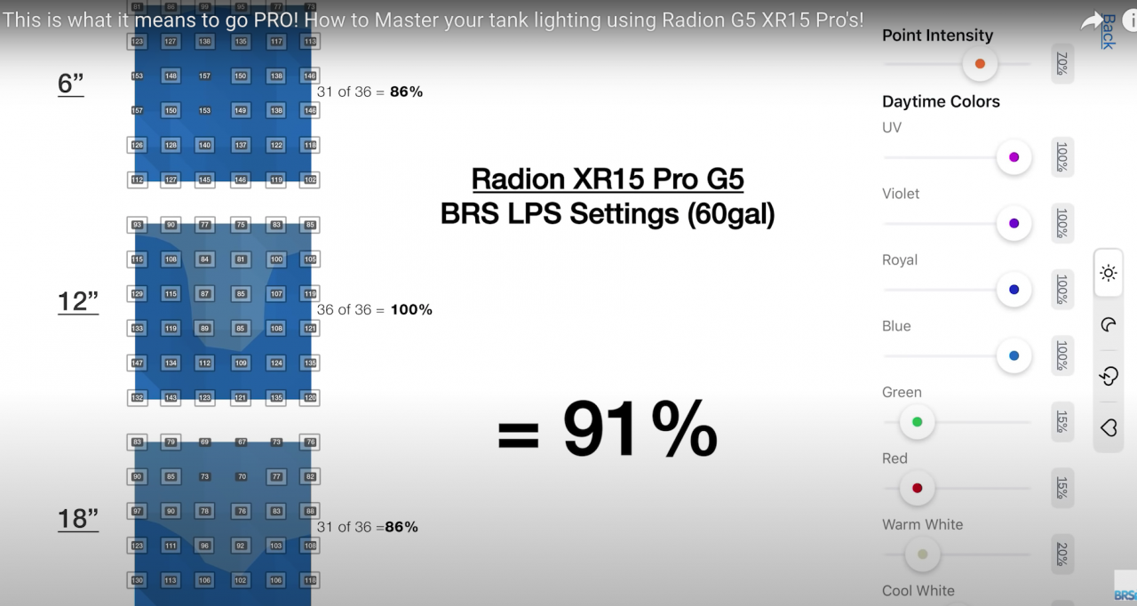 Screen Shot 2021-02-18 at 1.37.36 PM.png
