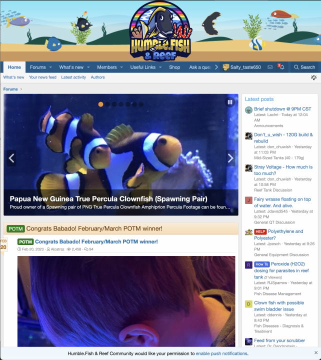 Screenshot 2023-05-13 at 01.49.41.png