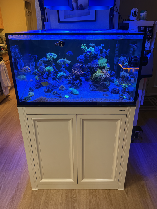 Screenshot 2025-03-12 at 4.09.24 PM.png