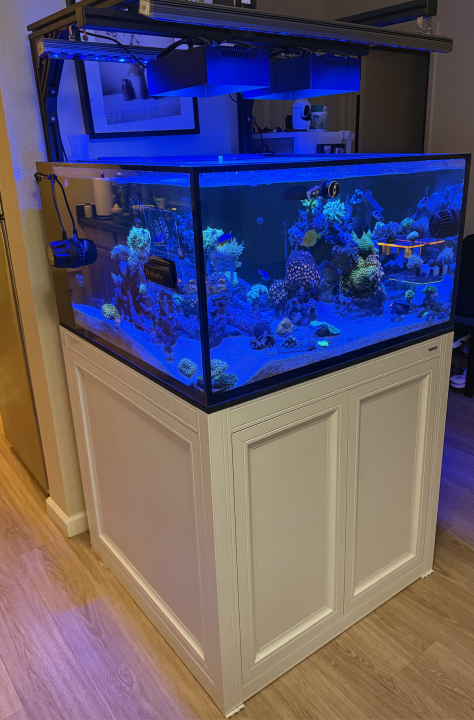 Screenshot 2025-03-12 at 4.09.38 PM.png