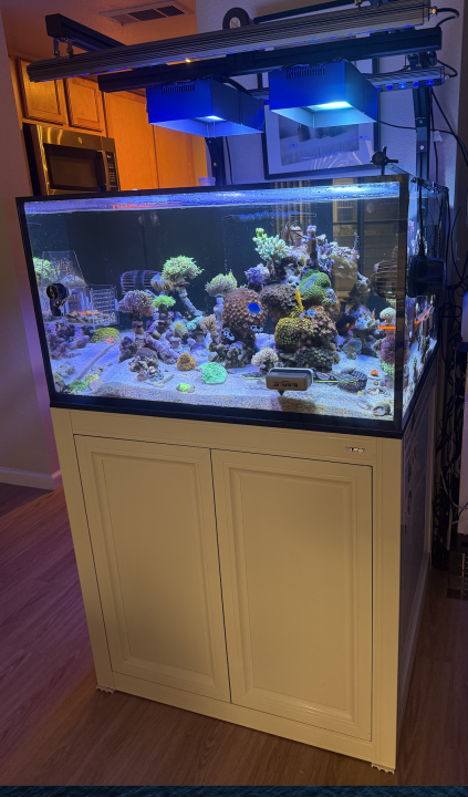 Screenshot 2025-03-12 at 4.10.08 PM.png