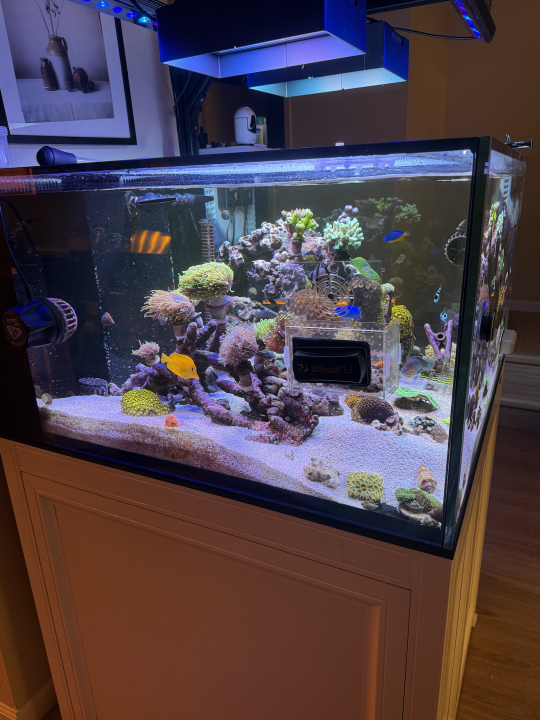 Screenshot 2025-03-12 at 4.10.24 PM.png