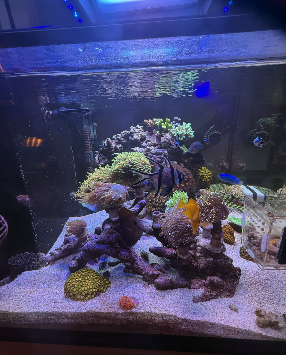 Screenshot 2025-03-12 at 4.10.55 PM.png