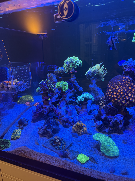 Screenshot 2025-03-12 at 4.11.37 PM.png